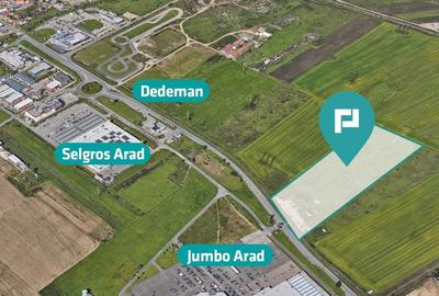 Teren de 55.340 mp, vis-a-vis de Jumbo, Arad - 2