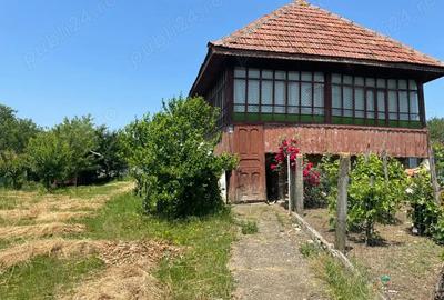 Casă cu 3 camere cu Teren 3800 Mp în Bălănești - 1
