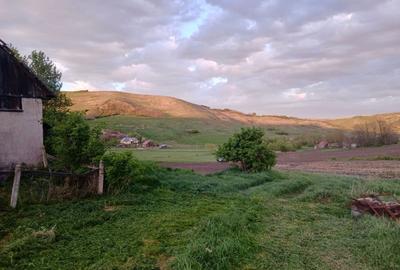 Casă cu 3 camere în Roșieni - 8