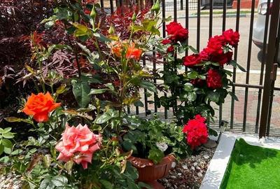 Ultracentral Pensiune Costinesti 19 Camere - 8