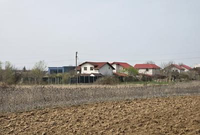 Teren Construcții intravilan de 4783 mp, în Ciolpani - 2