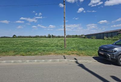 Teren de 30000 mp, în Exterior Vest - 5