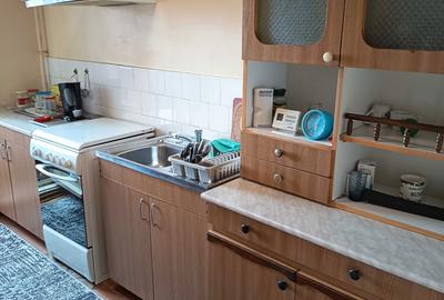 Apartament cu 3 camere decomandat în Craiovița Nouă - 7