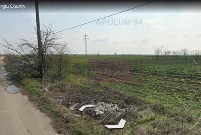 Teren 40ha Adunatii Copaceni | Industrial/ Logistic - 3