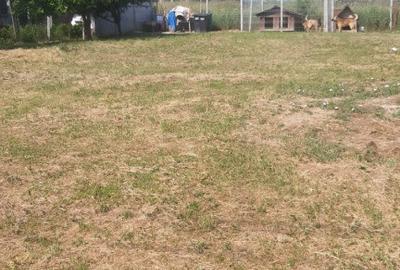 Casă cu 4 camere cu Teren 1200 Mp în Săsar - 2