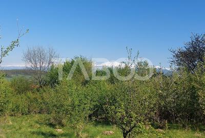 Teren 3445 mp pentru persoanele care doresc casa  cu teren generos Teren 3445 mp pentru persoanele care doresc casa  cu teren generos - 4