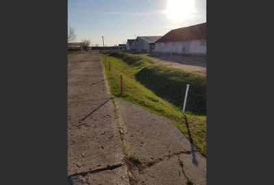 Ferma langa Oravita 5600 mp construiti si teren 24281 intravilan - 10