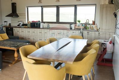 Teren 9.4 ha extravilan + casa 230 mp - 19