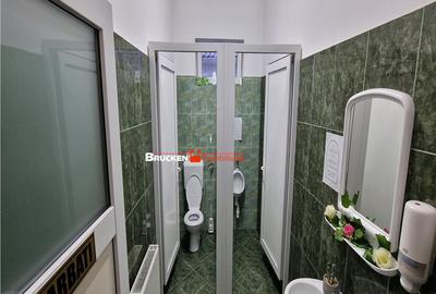 HALA INDUSTRIALA | GHENETEA - 8