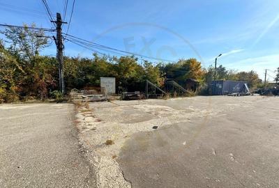 Oportunitate investitie Teren + constructii zona Vama Pitesti - 17