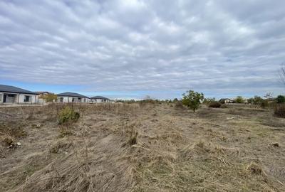 Domnesti, Drumul Targului, teren 1876 mp, 66ml x 28 ml, utilitati la strada - 2