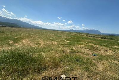 Teren de 7500 mp, în Râșnov - 4