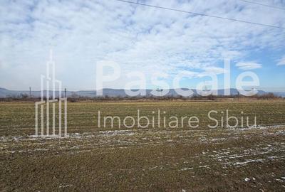 Teren de 5000 mp, în Central