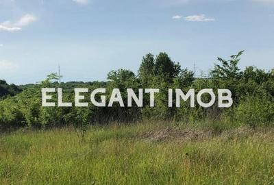 Teren cu pret foarte bun - 1