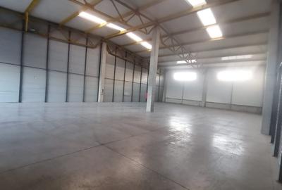 Hala Industriala de inchiriat in Capusu Mare - 3