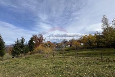 Teren de 1000 mp, în Bran