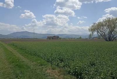 Teren de 7300 mp, în Chichiș - 7