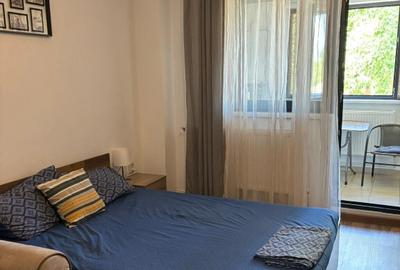 Apartament 1 camera Doroban?i (Garii) ?i o garsoniera (Hipodrom) - 2