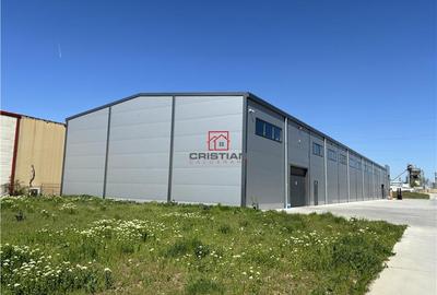 Spațiu comercial, de 1,300 mp, în Theodor Pallady - 11