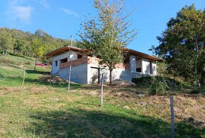 Casa la rosu in cicarlau - 11