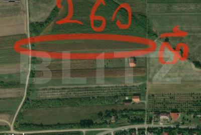 Teren de 4658 mp, în Viile Satu Mare