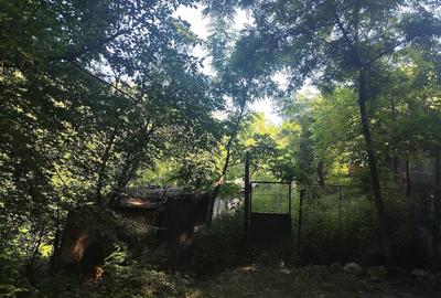 Teren de 4300 mp, în Govândari - 2