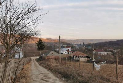 Teren de 6000 mp, în Priboieni - 2