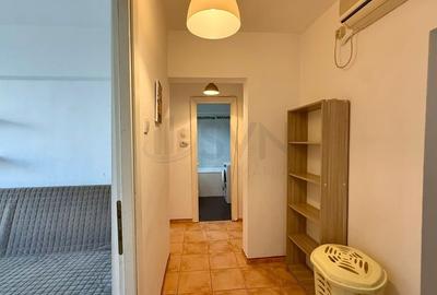 Apartament cu 3 camere decomandat, mobilat în Tineretului - 12