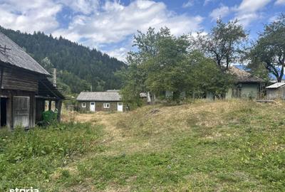 Teren de 5000 mp, în Dămuc