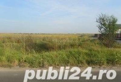 Teren de 5000 mp, în Central