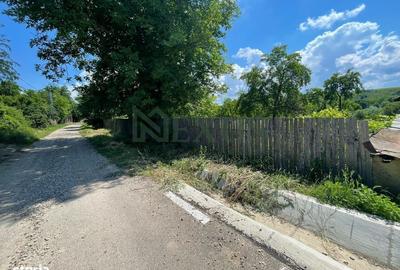 Casă cu 2 camere în Hertioana de Jos - 10