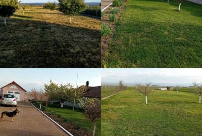 Casă cu 3 camere în Aurel Vlaicu - 1