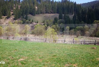 Spațiu comercial, în Central - 2