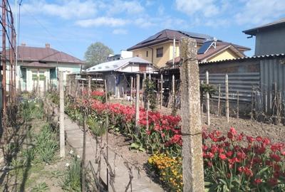 Casă cu 5 camere cu Canalizare în Central - 3