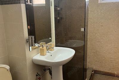 Apartament 2 camere Fratii Golesti - 8