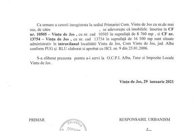 Teren de 8760 mp, în Vințu de Jos - 2