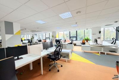 Un sediu care inspiră încredere, în inima Timișoarei - 3