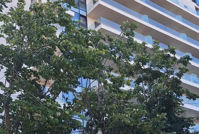 Apartament cu 2 camere semidecomandat în Central - 10