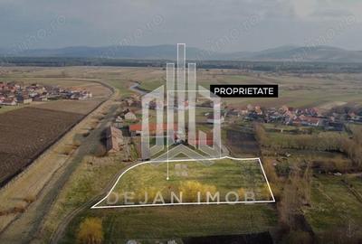 Teren de 5260 mp, în Reci - 4