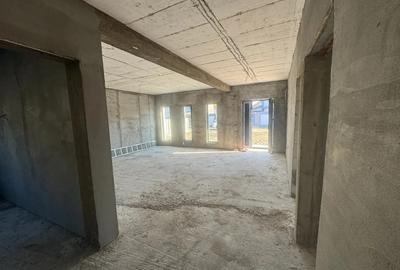 OFERTA Casa de vis in ?imian - 10