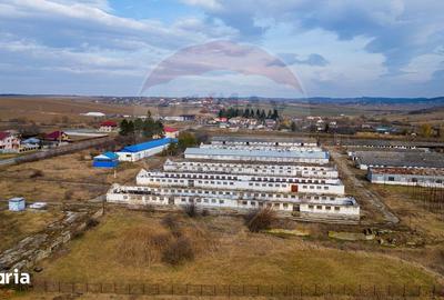 Teren de 39600 mp, în Traian - 3