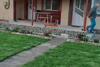 Casă cu 2 camere în Central - 1