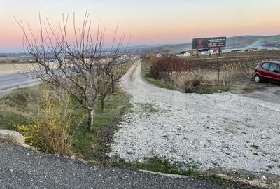 Hala cu cladire birouri, 14400 mp teren, in Copaceni Hala cu cladire birouri, 14400 mp teren, in Copaceni - 11