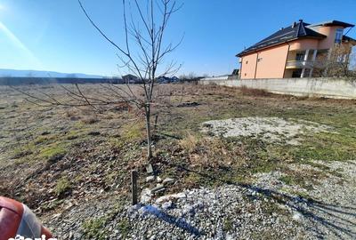 Teren de 2988 mp, în Ostroveni - 5