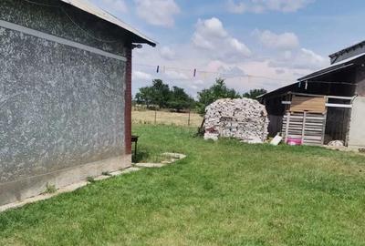 Casă cu Teren 2000 Mp în Glogoveanu - 2