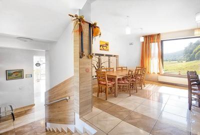 Pensiune Turistica Montana - 22