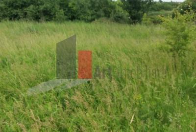 Teren Construcții intravilan de 3000 mp, în Sud - 31