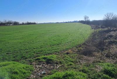 Teren de 20000 mp, în Șagului