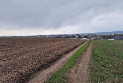 Teren de 10000 mp, în Vest - 17