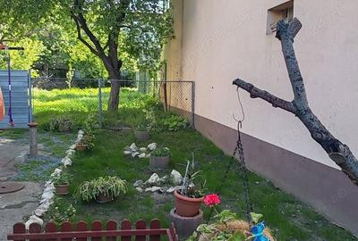 Casă cu 3 camere în Anda - 3